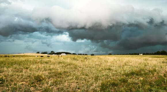 Cambio Climático En La Agricultura: Consejos De Adaptación