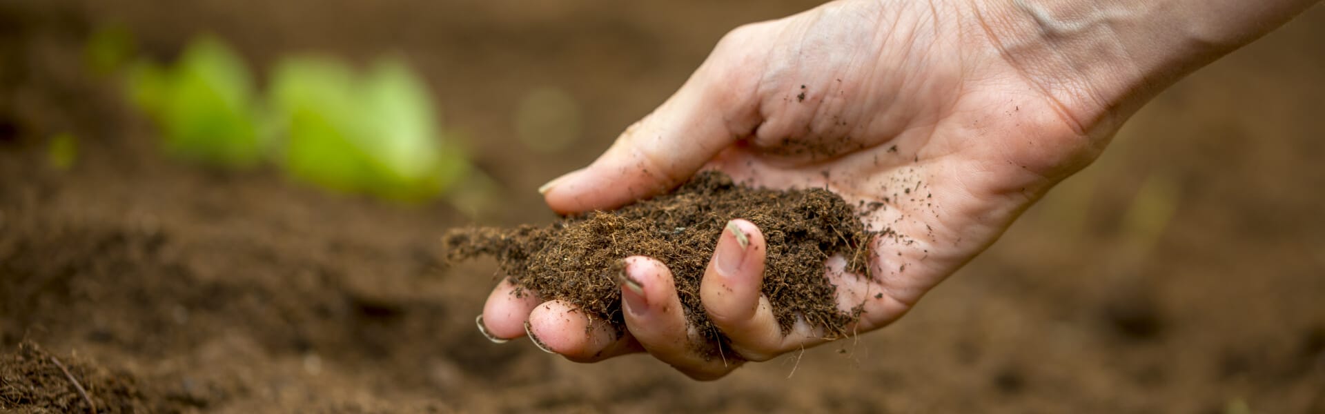 What's the difference: Dirt vs. soil  Forest Preserve District of Will  County