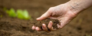 Soil Conservation Methods & Benefits Of Implementation