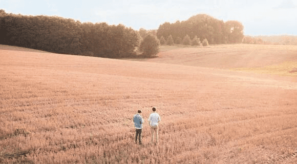 two farmers estimate yields