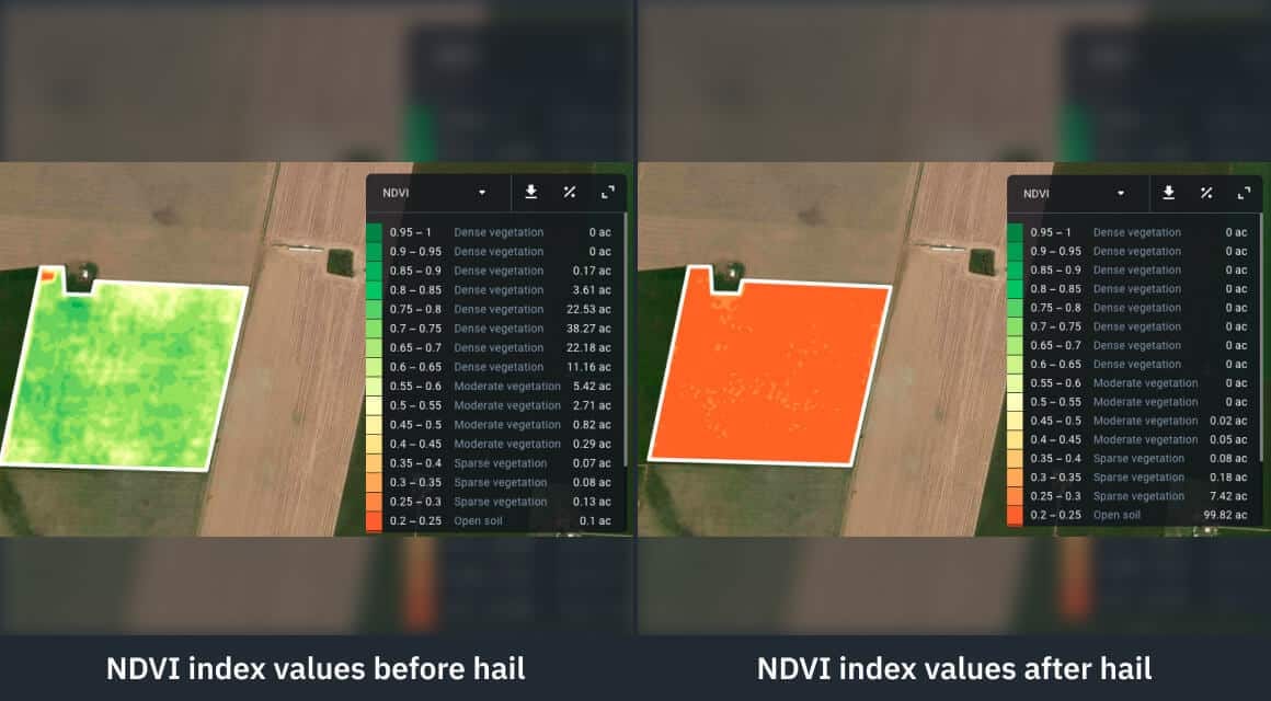 mudanças no índice NDVI de um campo danificado por granizo