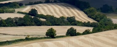 Agricultura Regenerativa: Conceito E Princípios