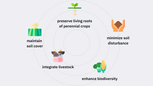 Regenerative Agriculture: Definition