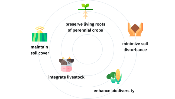 what-is-regenerative-agriculture