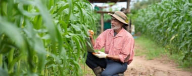 Precision Farming Technology: Sub-Saharan Farmers’ Look
