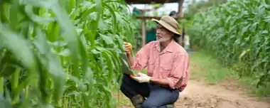 Precision Farming Technology: Sub-Saharan Farmers’ Look