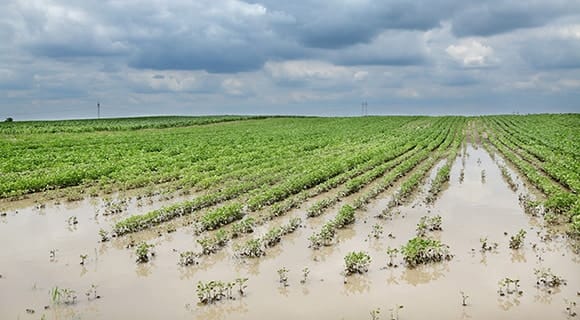 soil erosion by water