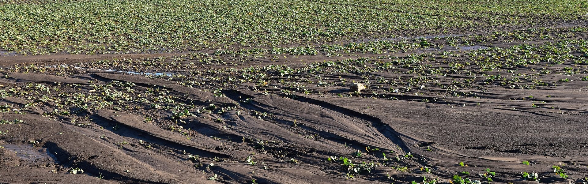 soil erosion by water