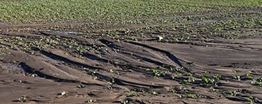 Водна Ерозія: Причини, Наслідки Та Захист Ґрунту