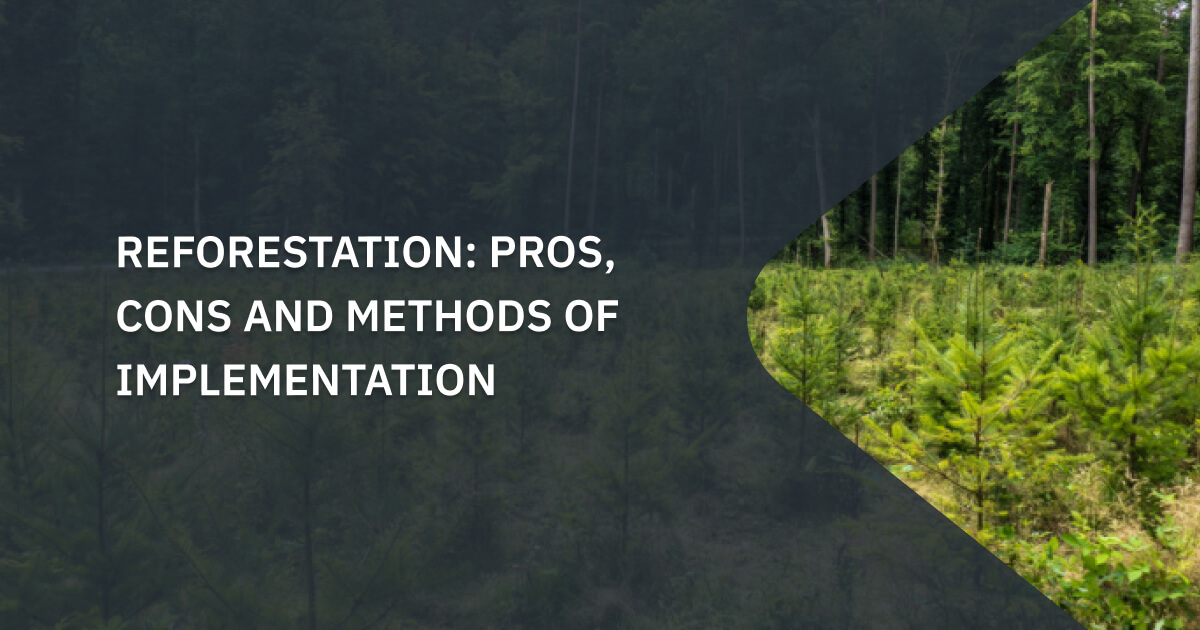 Reforestation: Purposes, Impact, & Methods Of Implementation
