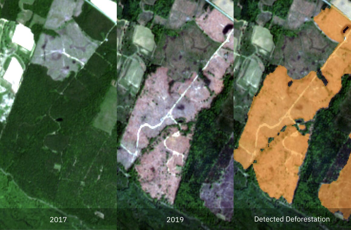 área florestal antes e depois do desmatamento
