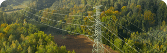 power lines near the trees