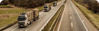 timber logistics