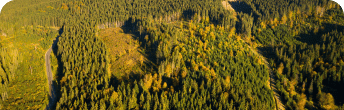 logging capacity within AOI