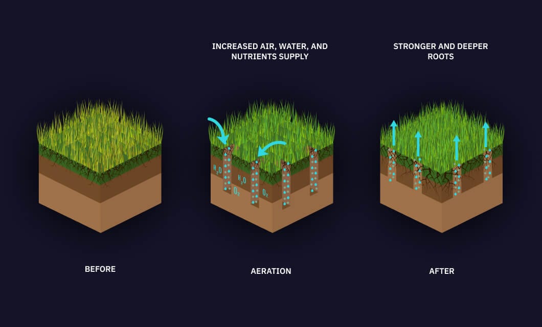 zone of aeration definition