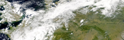 satellite forest imagery