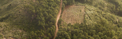 high precision forest health monitoring