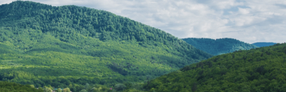 Remote change monitoring