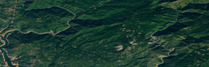 up-to-date forestry map