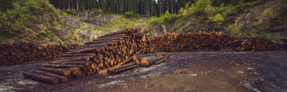 satellite monitoring of logging operations