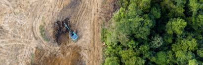 global deforestation picture