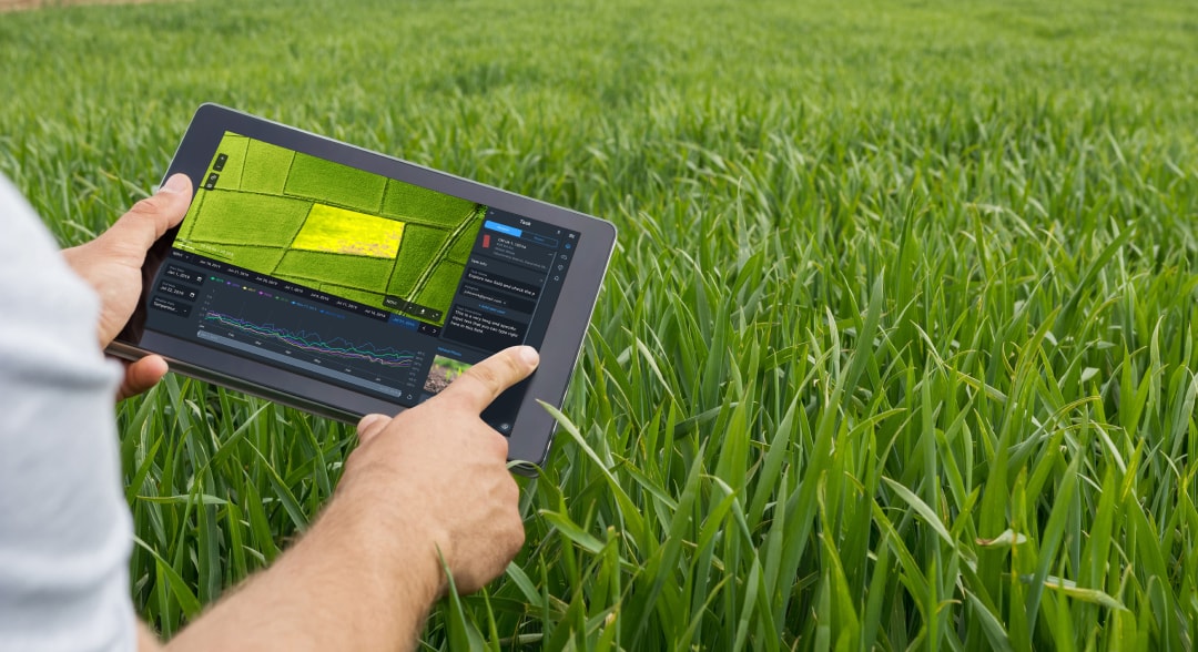Precision Agriculture Solutions From EOSDA For Agribusiness Needs