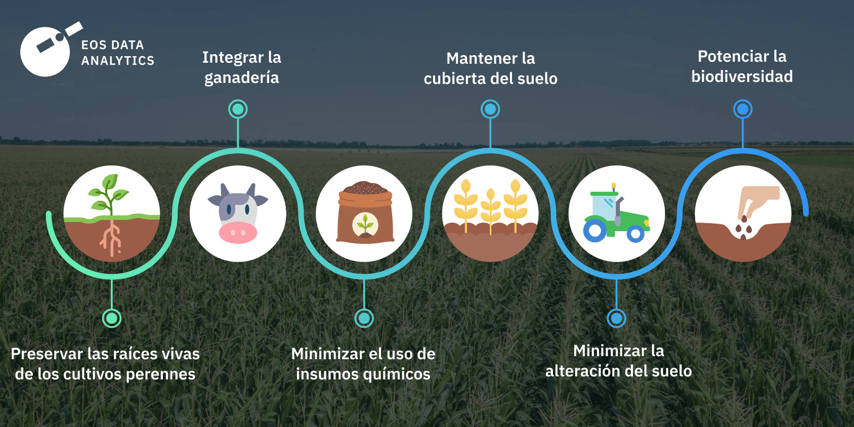principios de la agricultura regenerativa