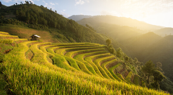 Terracing may not be suitable on these extremely steep slopes