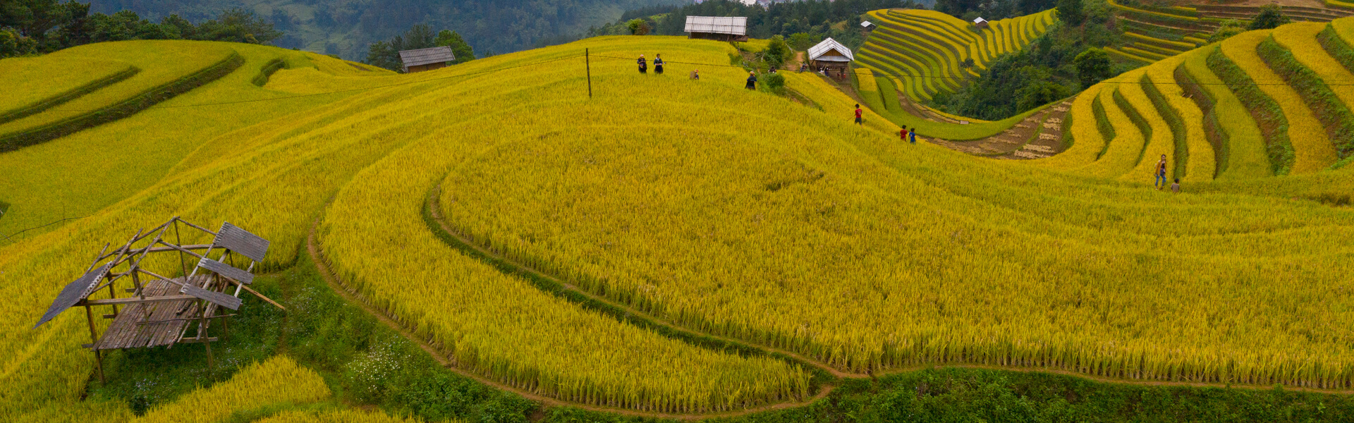 Harvesting situation on flat terrain (site A) and steep slope