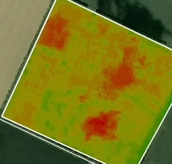 wilting plants monitoring with NDVI index