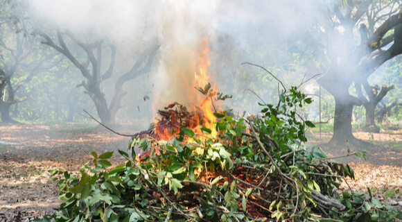 Apague o fogo com um balde de água. incêndios florestais no verão. plano