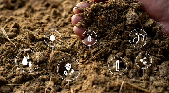 fertilizantes na agricultura orgânica