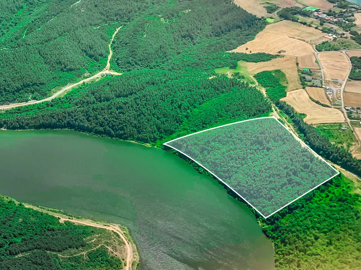 monitoring forest stand