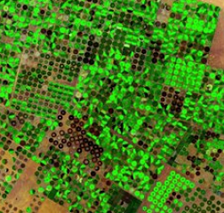 imagen satelital de Arabia Saudita Combinaciones De Bandas Agrícolas – Visión General