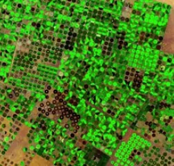 satellite image of Saudi Arabia Agriculture Band Combinations — Overview