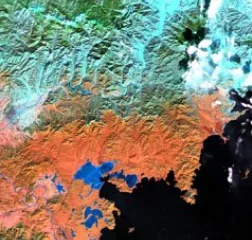 Analyse de la Végétation
