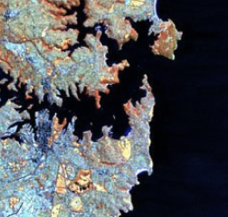 satellite image of Gow St, Balmain NSW, Australia Land / Water