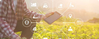 Використання розумних технологій для підвищення врожайності невеликих фермерських господарств