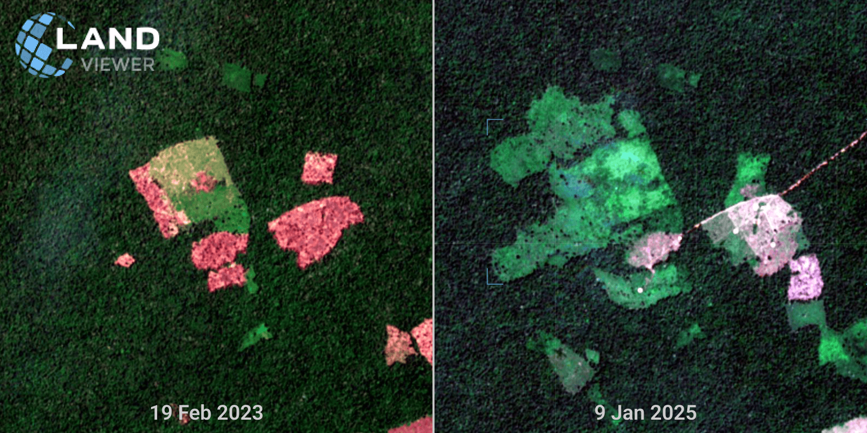 desmatamento na floresta tropical da Colômbia