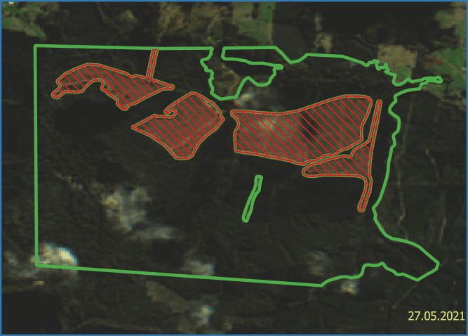 the dynamics of deforestation within a selected AOI