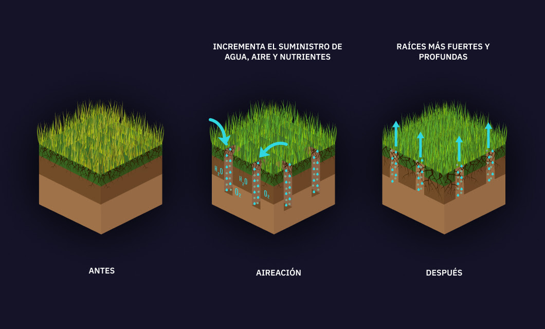 esquema del efecto de la aireación del suelo