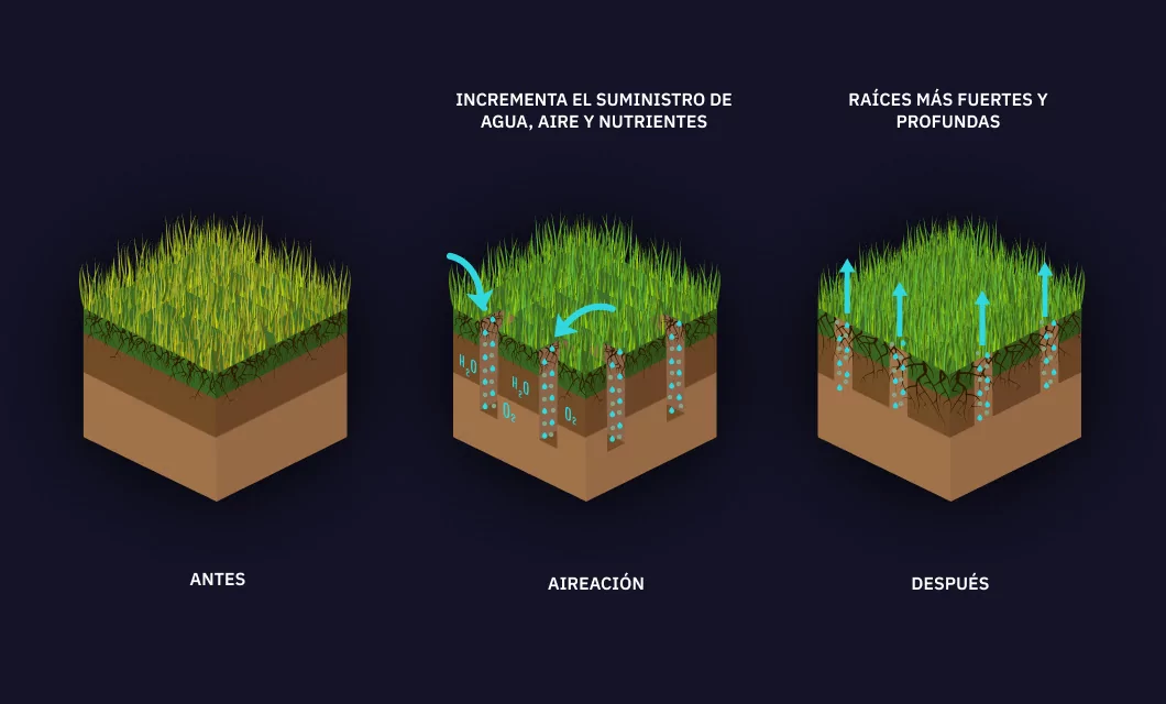 esquema del efecto de la aireación del suelo