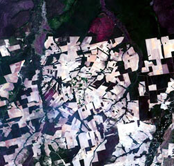 satellite image of Brazil False Color Satellite Imagery
