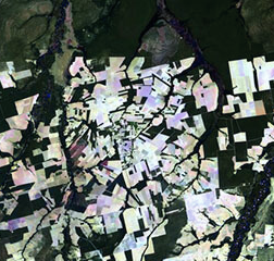 Imagerie Satellite en Fausses Couleurs