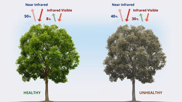 Ndvi Mapping In Agriculture Index Formula And Uses