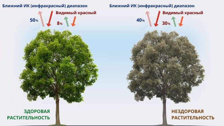схема работы NDVI