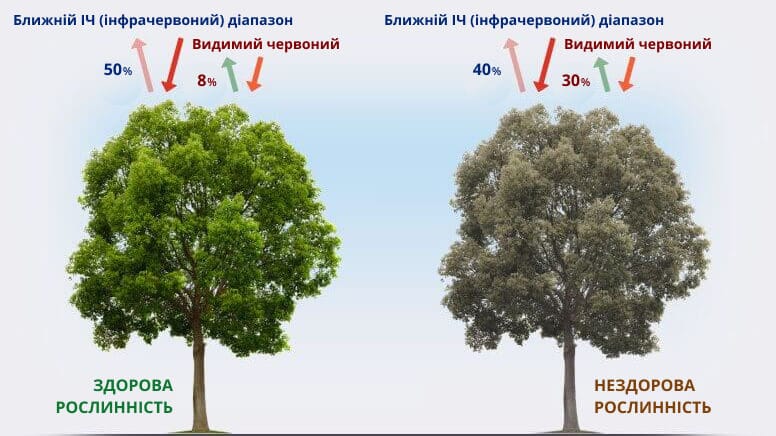 cхема роботи NDVI