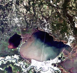 imagen satelital de Los Ángeles, EE.UU Color Natural