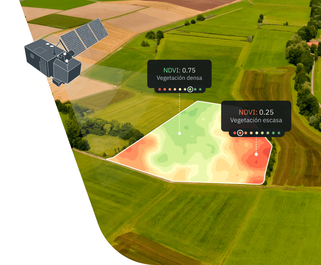 Detección satelital del índice con un mapa NDVI