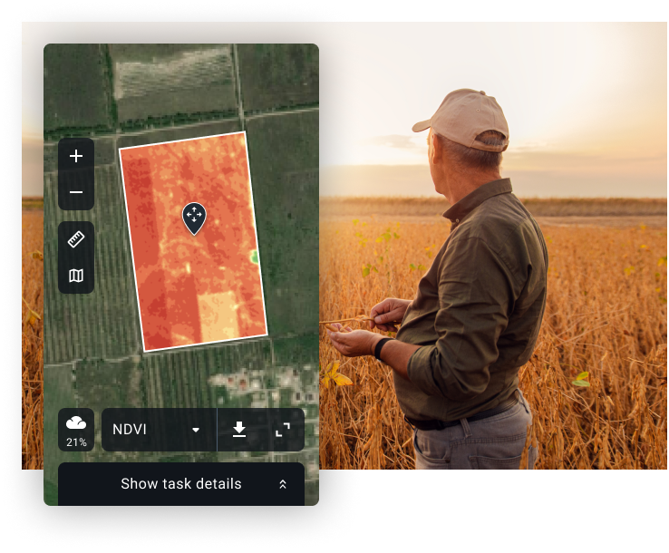 NDVI index map of the field